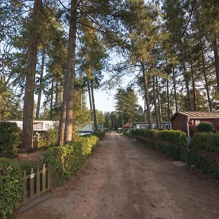 Kamp alanı Verblijfpark Tulderheyde *